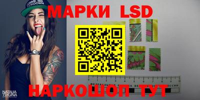 стафф Аргун