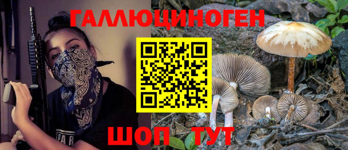 Астрахань  Галлюциногенные грибы Psilocybe  Вход с VPN 